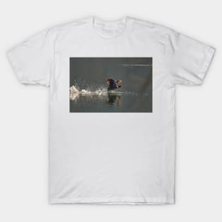 Coot in a hurry T-Shirt